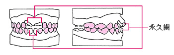 始める期間と時期